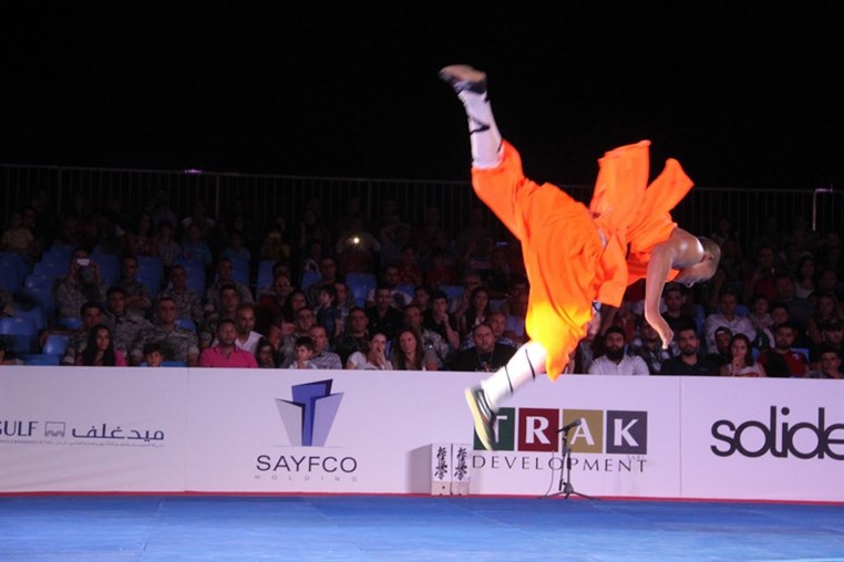 Martial Arts Festival
